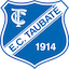 Escudo de Taubaté