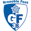 Escudo de Grenoble