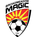 Escudo de Broadmeadow Magic
