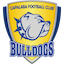 Escudo de Capalaba