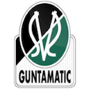 Escudo de Ried