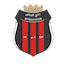 Escudo de Al Riyadh