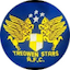 Escudo de Treowen Stars