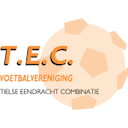 Escudo de TEC