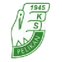 Escudo de Pelikan Łowicz