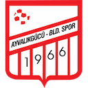 Escudo de Ayvalikgucu