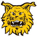 Escudo de Ilves W