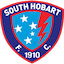 Escudo de South Hobart