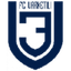 Escudo de Varketili