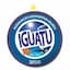 Escudo de Iguatu