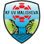Escudo de Malisheva