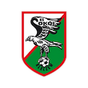 Escudo de Sokół Kleczew