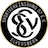 Escudo de SV Elversberg