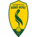 Escudo de Livyi Bereh