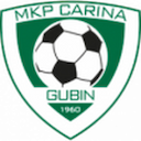 Escudo de Carina Gubin