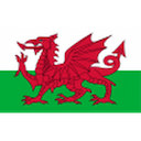 Escudo de Wales U17
