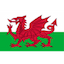 Escudo de Wales U17