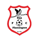 Escudo de Sua Flamingoes