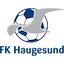 Escudo de Haugesund II