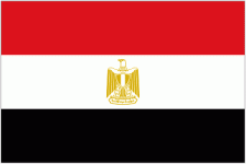 Escudo de Egypt W