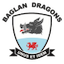 Escudo de Baglan Dragons