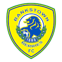 Escudo de Canterbury Bankstown