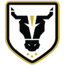 Escudo de Bulls Academy