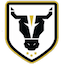 Escudo de Bulls Academy