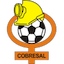 Escudo de Cobresal