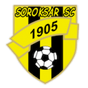 Escudo de Soroksar