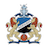 Escudo de Szeged 2011