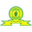 Escudo de Mamelodi Sundowns W