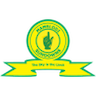 Escudo de Mamelodi Sundowns W