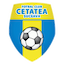 Escudo de Cetatea Suceava