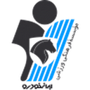 Escudo de Paykan