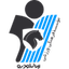 Escudo de Paykan