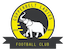 Escudo de Copperbelt Ladies W