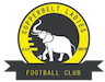 Escudo de Copperbelt Ladies W