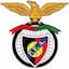 Escudo de Penya Encarnada