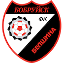 Escudo de Belshina