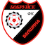 Escudo de Belshina