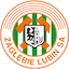 Escudo de Zaglebie Lubin