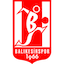 Escudo de Balıkesirspor