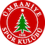 Escudo de Ümraniyespor
