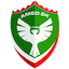 Escudo de Amed