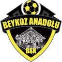 Escudo de Beykoz Anadolu