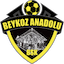 Escudo de Beykoz Anadolu