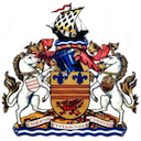 Escudo de Barry Town