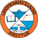 Escudo de Thróttur Vogar