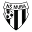 Escudo de Mura